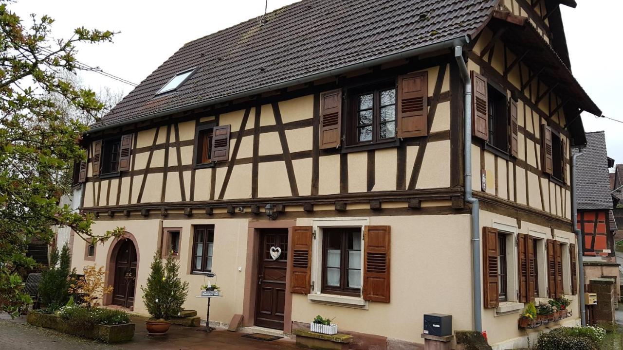GITE A LA PETITE FONTAINE-PLAIN PIED-MAISON ALSACIENNE RENOVEE AVEC PASSION-4 PERS-4nuitées minimum Langensoultzbach Extérieur photo