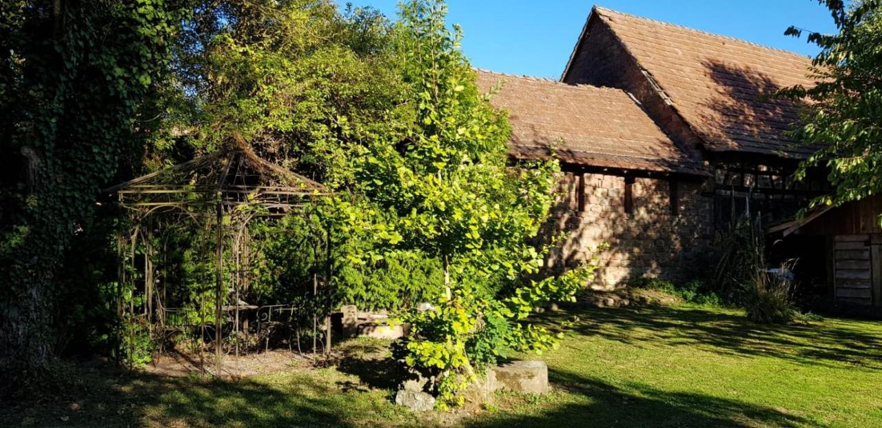 GITE A LA PETITE FONTAINE-PLAIN PIED-MAISON ALSACIENNE RENOVEE AVEC PASSION-4 PERS-4nuitées minimum Langensoultzbach Extérieur photo