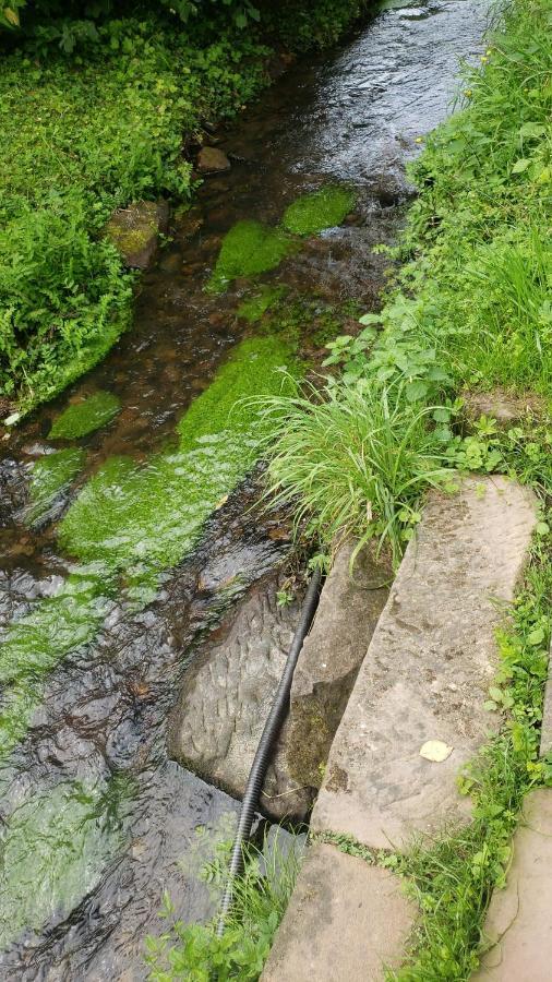 GITE A LA PETITE FONTAINE-PLAIN PIED-MAISON ALSACIENNE RENOVEE AVEC PASSION-4 PERS-4nuitées minimum Langensoultzbach Extérieur photo