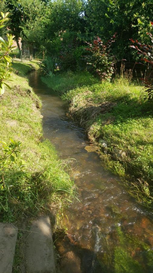 GITE A LA PETITE FONTAINE-PLAIN PIED-MAISON ALSACIENNE RENOVEE AVEC PASSION-4 PERS-4nuitées minimum Langensoultzbach Extérieur photo
