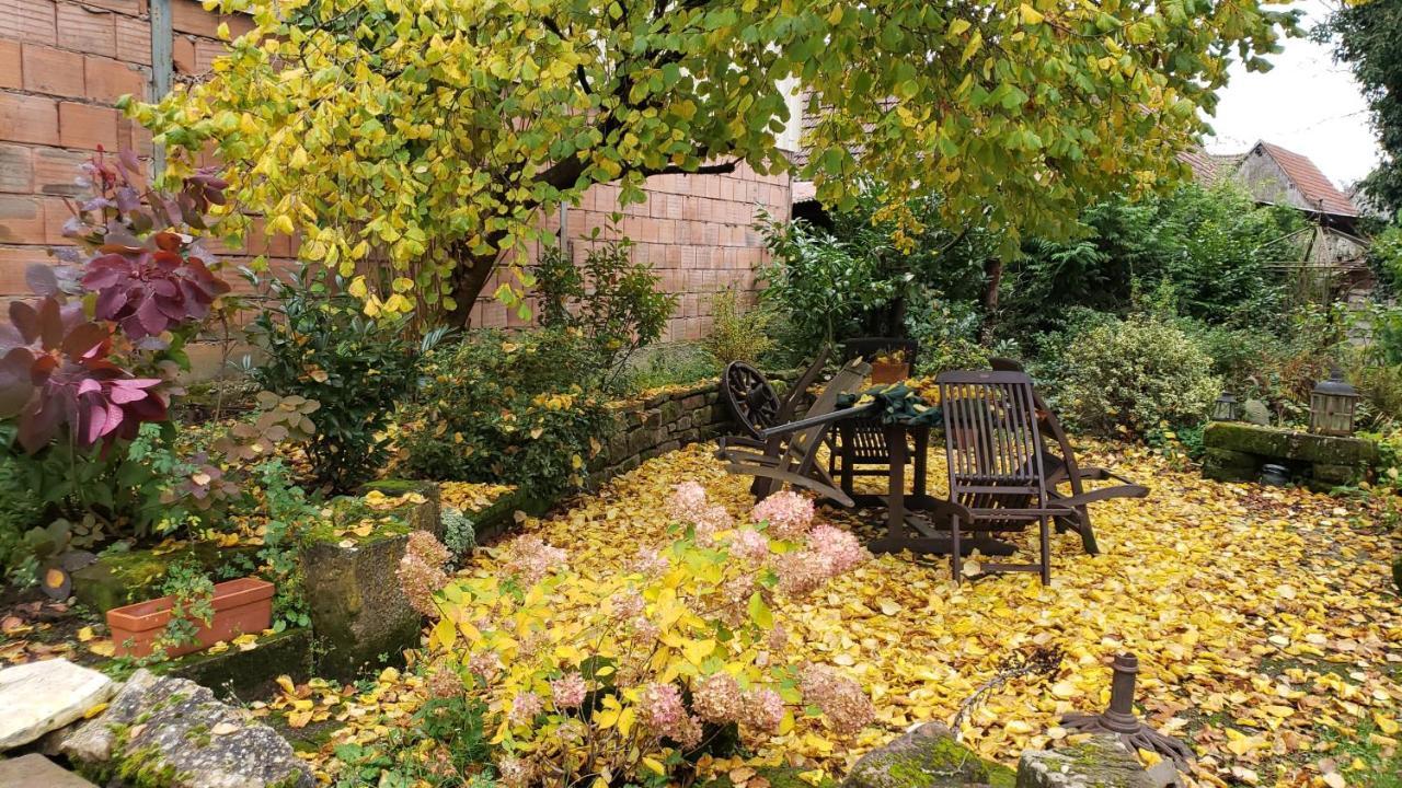 GITE A LA PETITE FONTAINE-PLAIN PIED-MAISON ALSACIENNE RENOVEE AVEC PASSION-4 PERS-4nuitées minimum Langensoultzbach Extérieur photo