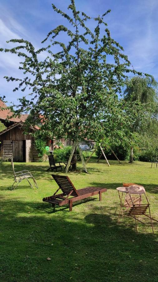 GITE A LA PETITE FONTAINE-PLAIN PIED-MAISON ALSACIENNE RENOVEE AVEC PASSION-4 PERS-4nuitées minimum Langensoultzbach Extérieur photo