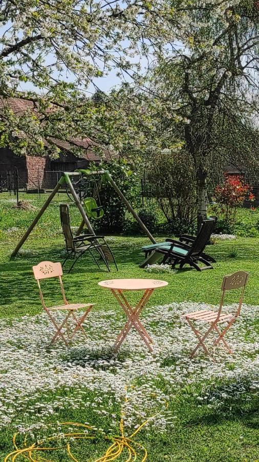 GITE A LA PETITE FONTAINE-PLAIN PIED-MAISON ALSACIENNE RENOVEE AVEC PASSION-4 PERS-4nuitées minimum Langensoultzbach Extérieur photo